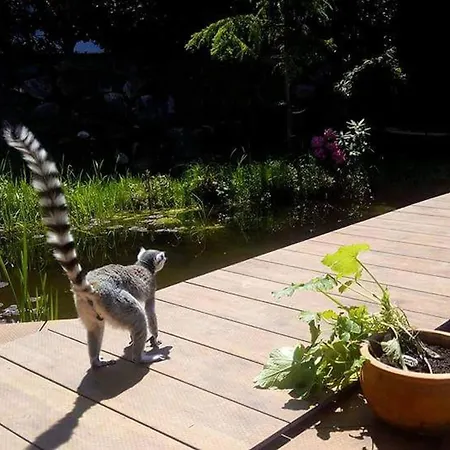 Charming Guest In Idyllic Ebbs, Austria 에브스