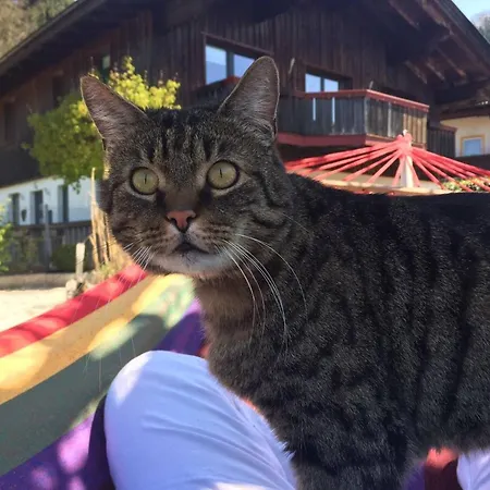 Charming Guest In Idyllic Ebbs, Austria