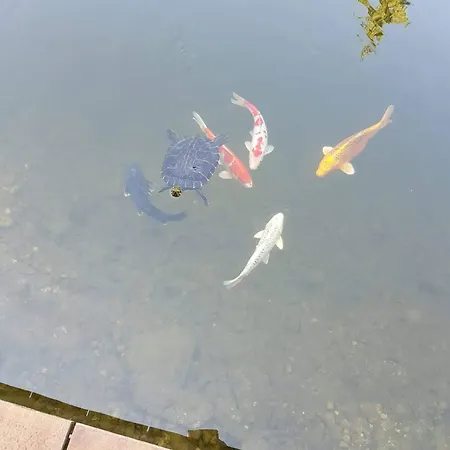 Charming Guest In Idyllic Ebbs, Austria 게스트하우스 *