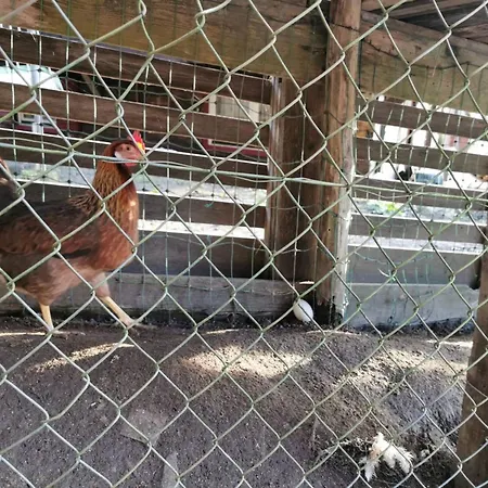 게스트하우스 Charming Guest In Idyllic Ebbs, Austria *