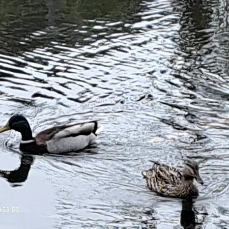 게스트하우스 Charming Guest In Idyllic Ebbs, Austria 에브스