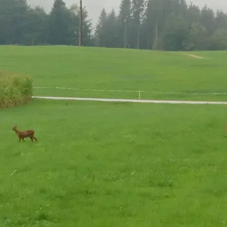 Charming Guest In Idyllic Ebbs, Austria Ebbs