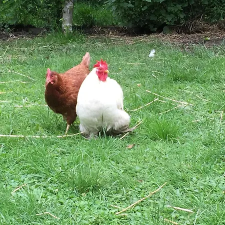 Charming Guest In Idyllic Ebbs, Austria * Ebbs